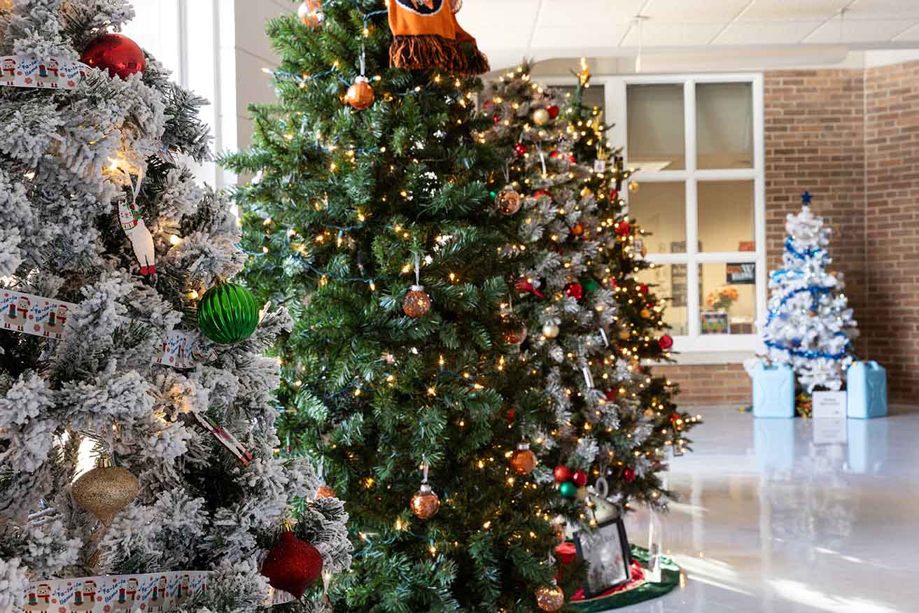 Christmas Trees in the Classroom Technology Center for the annual Festival of Trees