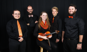 Kammerstreicher Ensemble