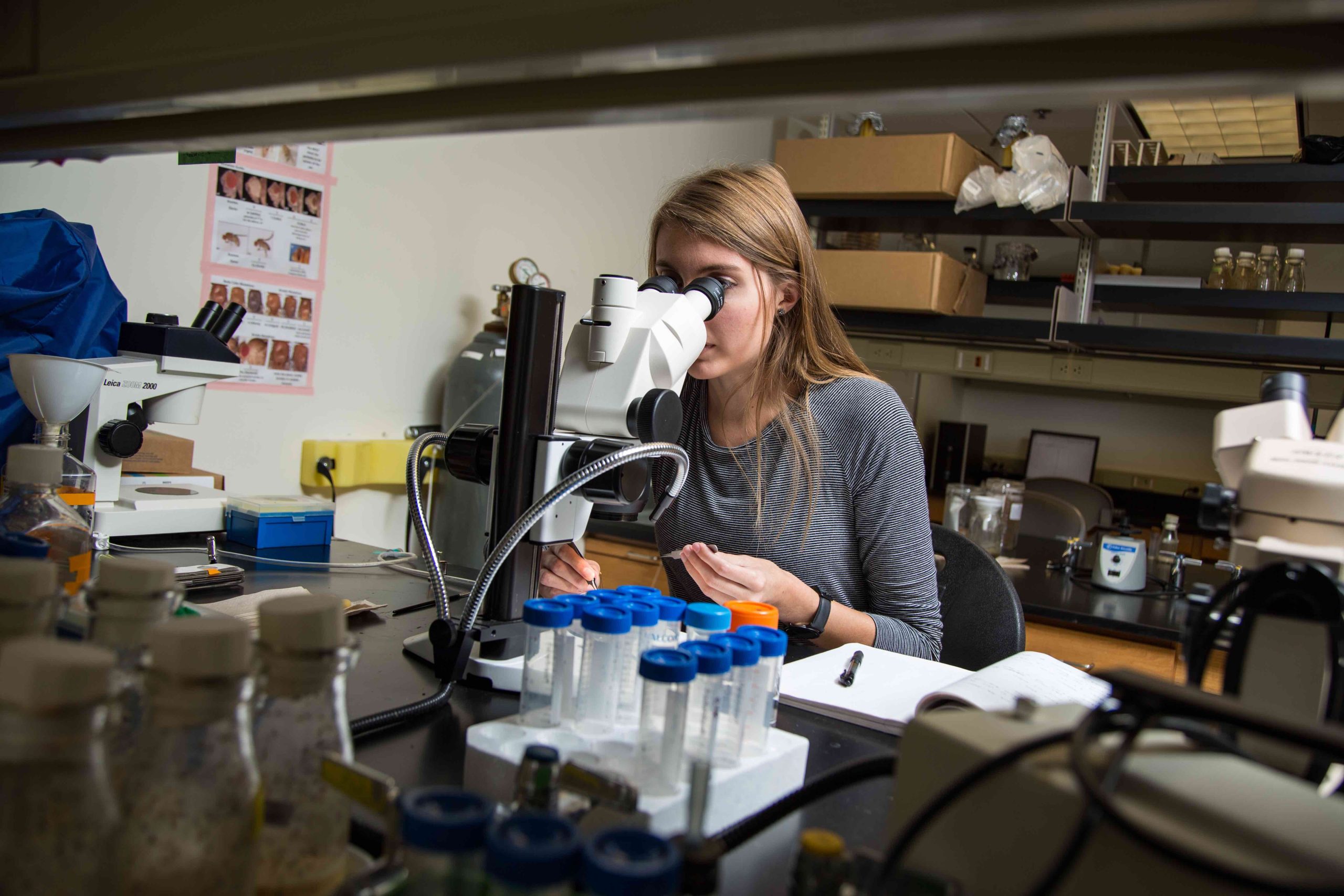 Madison Mix is researching the possible connection between the gut microbiome and Alzheimer's disease.