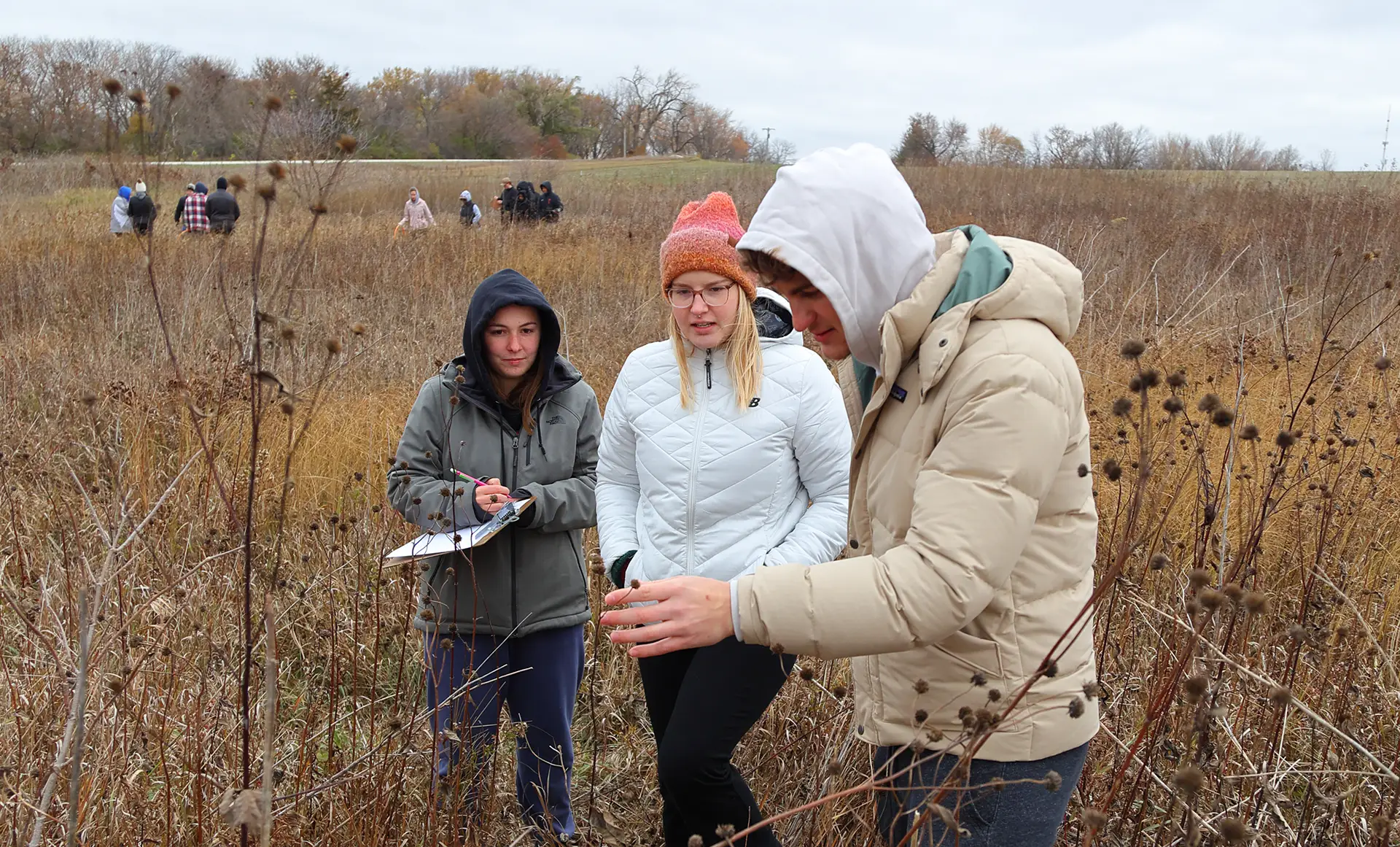 Lageshulte Prairie research