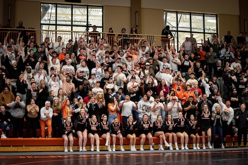 Crowd cheering at a game