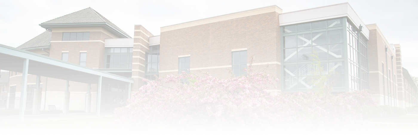 The W Faded Background