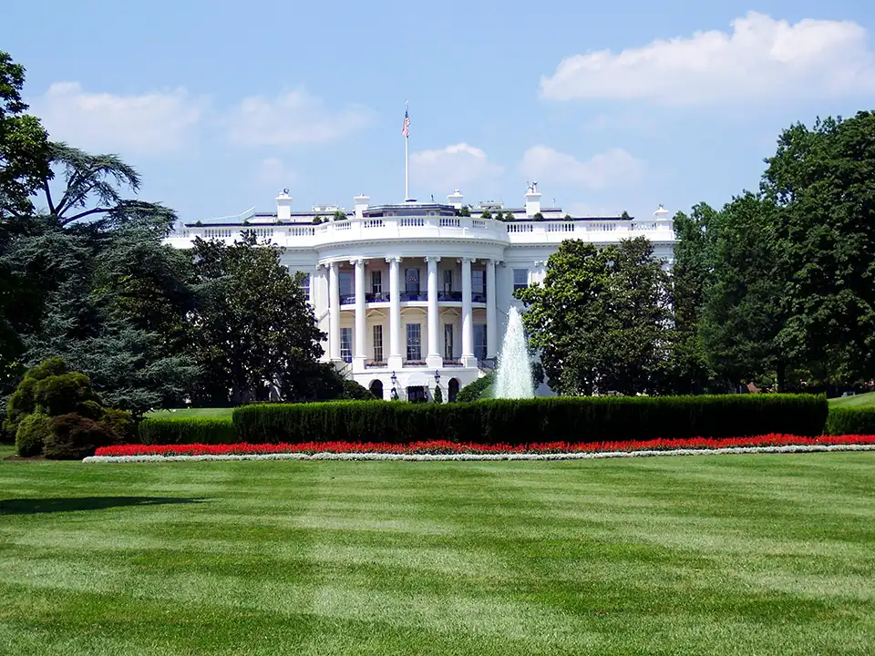 The White house sits in the background with green lawn in the foreground