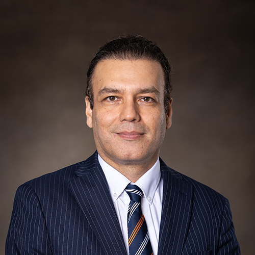Mahdi Ziaei