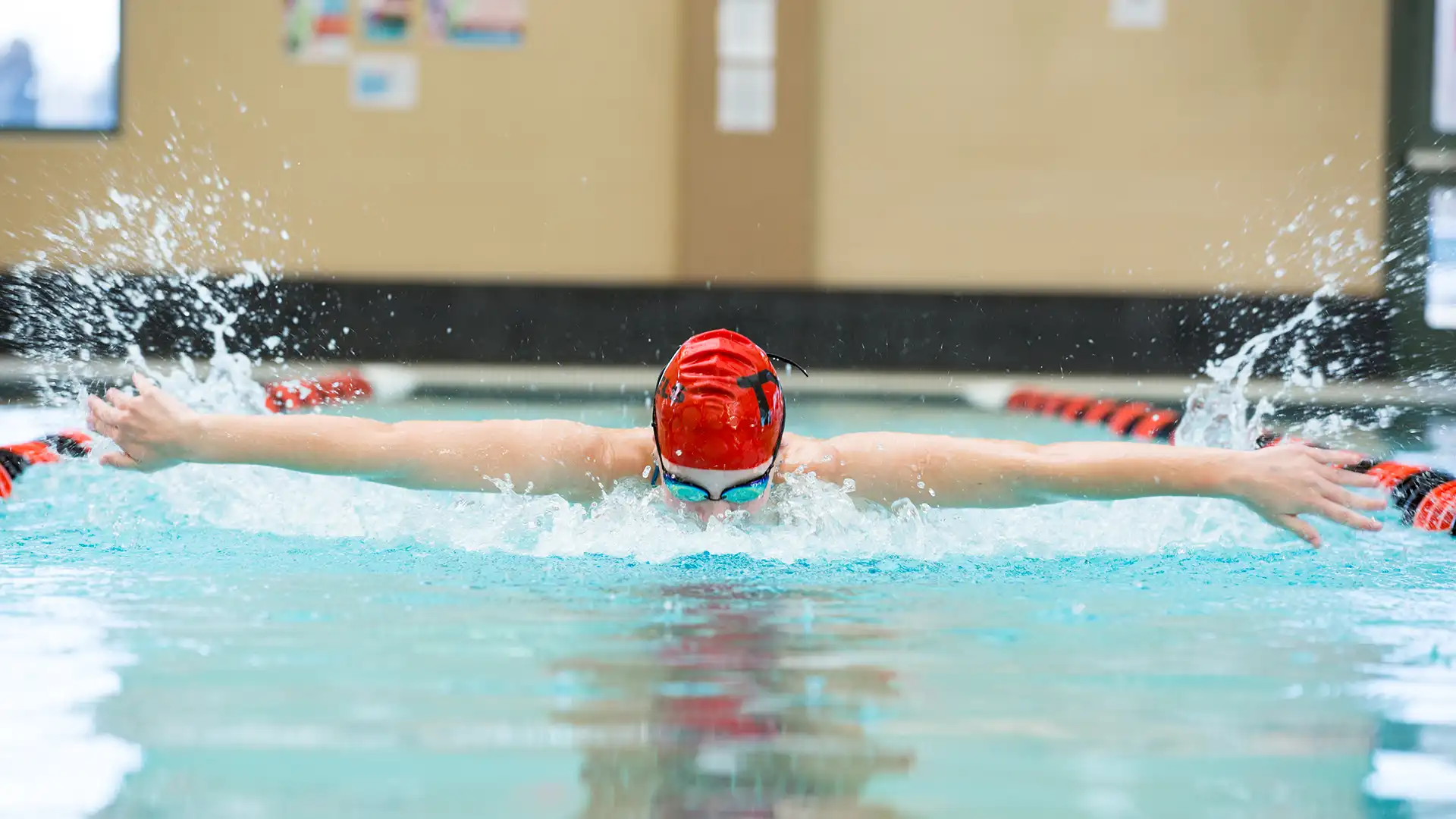 Person swimming in a pool lane