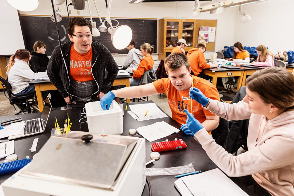 Students work on a molecular biology lab while Dr. Cole Davidson watches over their progress.