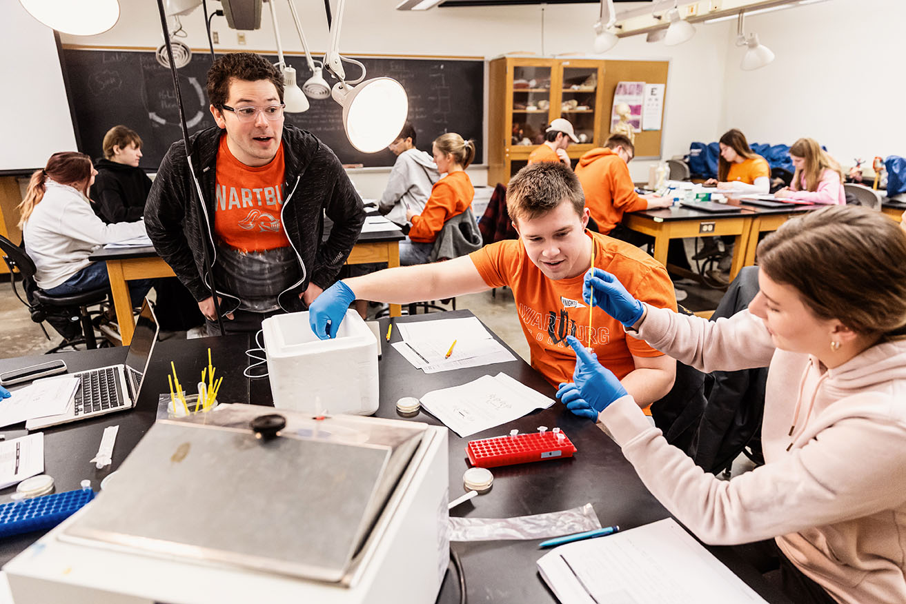 Students work on a molecular biology lab while Dr. Cole Davidson watches over their progress.